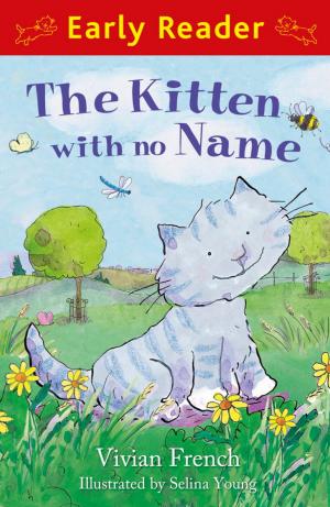 Cover of the book The Kitten with No Name by David Almond