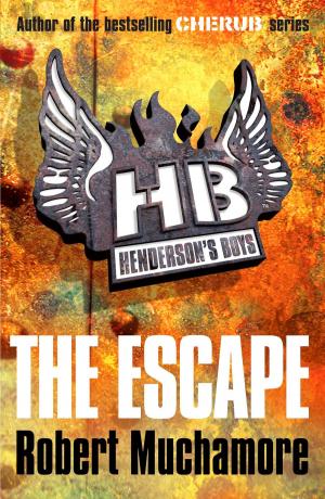 Cover of the book The Escape by Kate O'Hearn