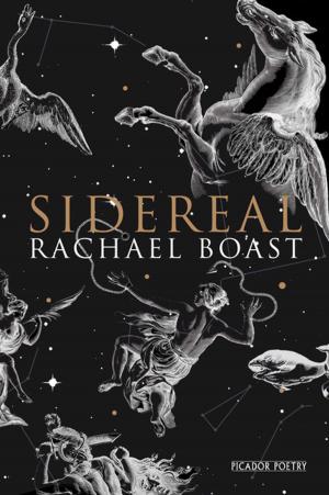 Book cover of Sidereal