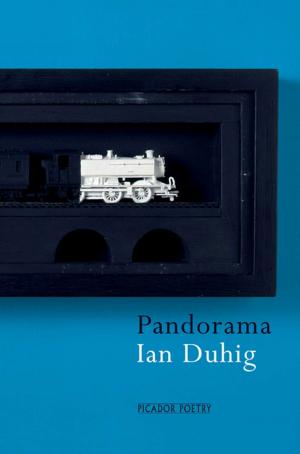 Cover of the book Pandorama by Gillian Shields