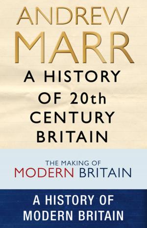 Cover of the book A History of 20th Century Britain by Tabish Khair