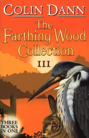 Cover of the book Farthing Wood Collection 3 by Robert Swindells