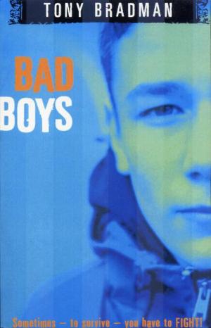 Cover of the book Bad Boys by Sara Vogler, Jan Burchett