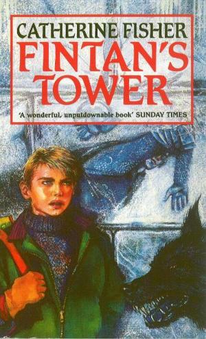 Cover of the book Fintan's Tower by Leon Garfield, Edward Blishen