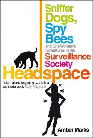 Cover of the book Headspace by Tony Wrighton
