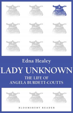 Cover of the book Lady Unknown by Dr Stephen Turnbull
