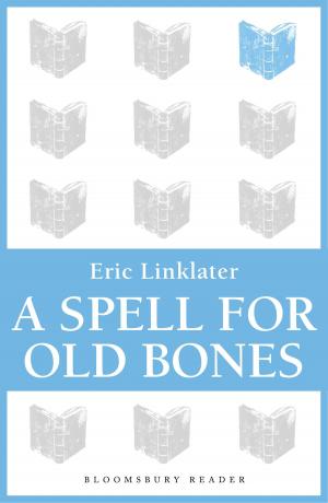 Book cover of A Spell For Old Bones