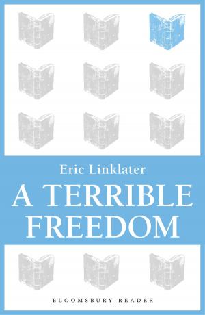 Book cover of A Terrible Freedom