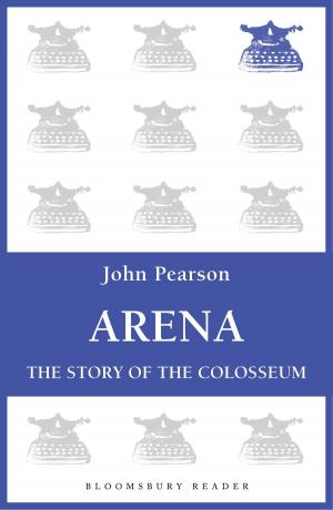 Cover of the book Arena by Steve Barry