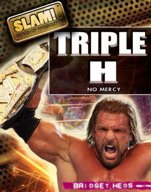 Cover of the book Triple H by Daniel E. Harmon