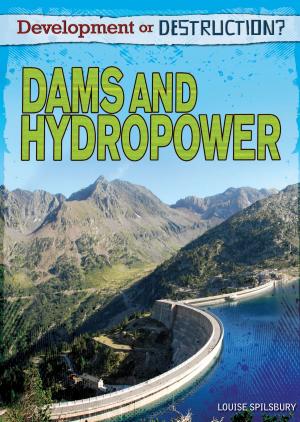Book cover of Dams and Hydropower
