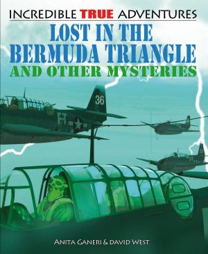 Cover of the book Lost in the Bermuda Triangle and Other Mysteries by Rebecca Johnson