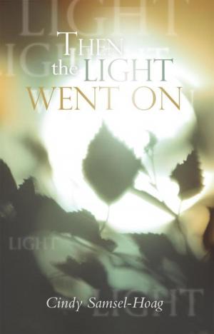 Cover of the book Then the Light Went On by Nate Wilkerson