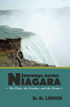 Cover of the book Journeys Across Niagara by Deborah C. Cruce