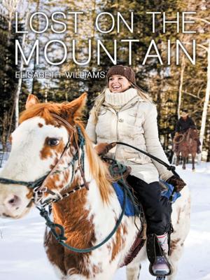Cover of the book Lost on the Mountain by Karen Toller Whittenburg