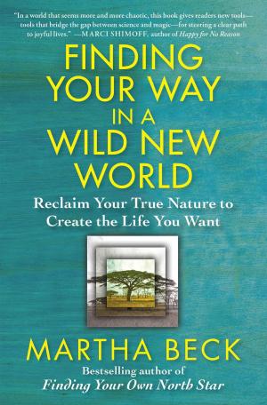 Cover of the book Finding Your Way in a Wild New World by William Kent Krueger