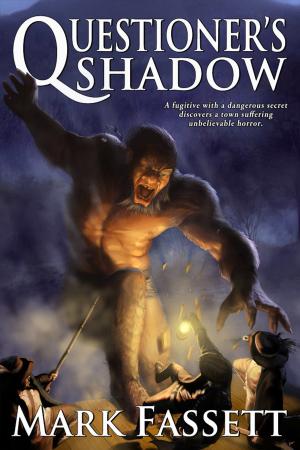 Cover of the book Questioner's Shadow by Victoria Champion