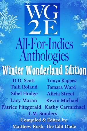 Book cover of The WG2E All-For-Indies Anthologies: Winter Wonderland Edition