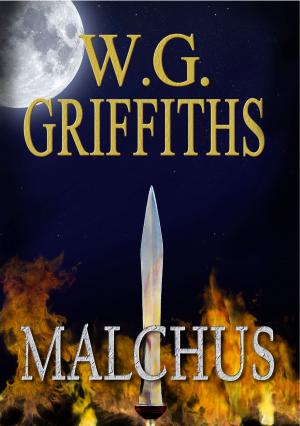 Cover of the book Malchus by N. Joy