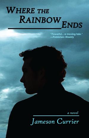 Book cover of Where the Rainbow Ends