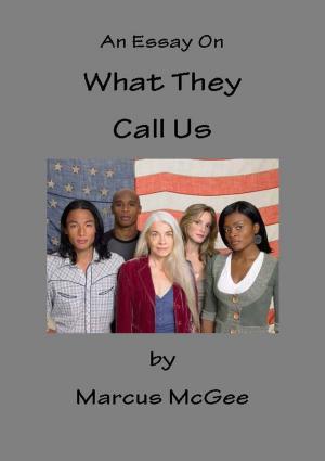 Cover of the book An Essay On What They Call Us by Dan Smith