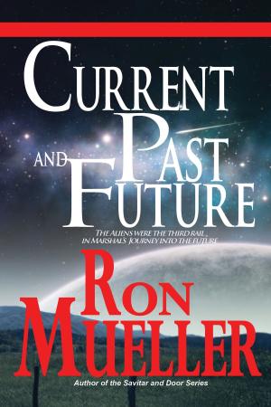 Cover of the book Current Past and Future by Paul S Huggins