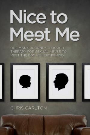Cover of the book Nice To Meet Me by 飛翔編輯部