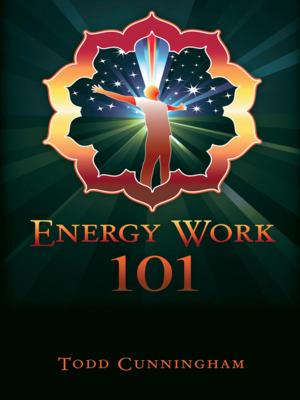 Cover of the book Energy Work 101 by Darleen Miller