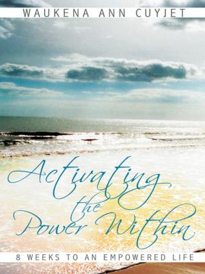 Cover of the book Activating the Power Within by Donna Apidone