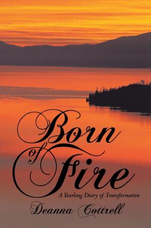 Cover of the book Born of Fire by Karen Bauer