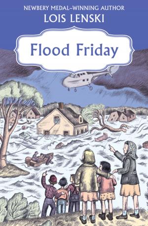 Cover of the book Flood Friday by Fred Kaplan