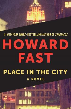 Cover of the book Place in the City by Geoffrey Household