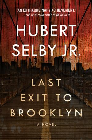 Cover of the book Last Exit to Brooklyn by Dorothée Clampton