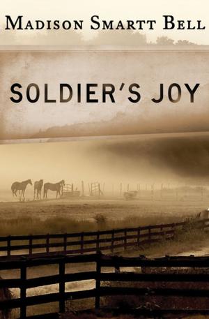 Book cover of Soldier's Joy