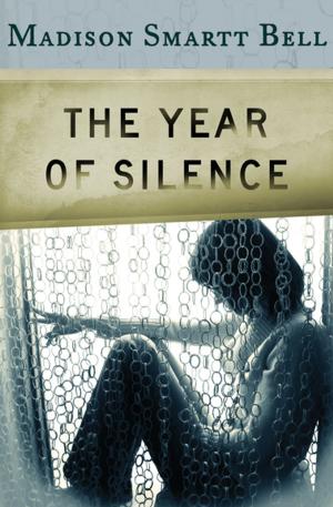 Book cover of The Year of Silence