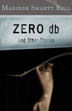 Cover of the book Zero db by Jaqueline Girdner