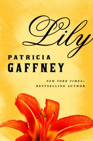 Cover of the book Lily by Ray Garton