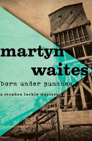 Book cover of Born Under Punches