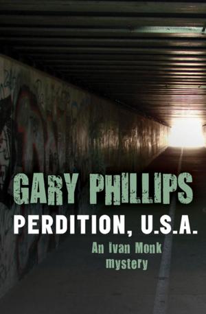 Cover of the book Perdition, U.S.A. by Sharon Abimbola Salu