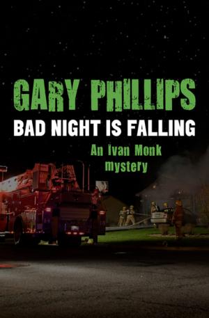 Book cover of Bad Night Is Falling