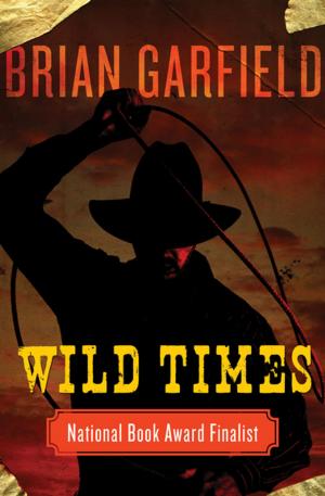 Cover of the book Wild Times by Oliver Rayne