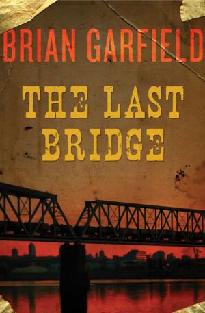 Cover of the book The Last Bridge by Janet Dailey