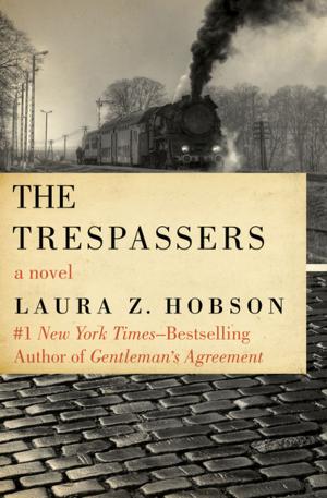 Cover of the book The Trespassers by Mary Delorme