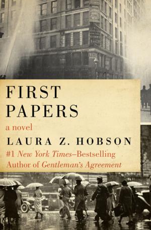 Cover of the book First Papers by Jacqueline Briskin