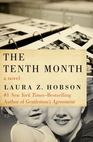 Cover of the book The Tenth Month by Barbara Wilson
