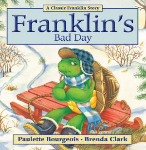 Book cover of Franklin's Bad Day