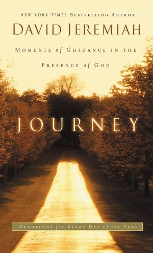 Cover of the book Journey by Joyce Meyer
