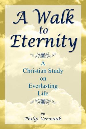 Cover of the book A Walk to Eternity by Irfan Alli