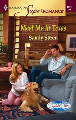 Cover of the book Meet Me in Texas by Marion Lennox