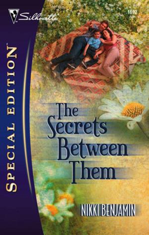 bigCover of the book The Secrets Between Them by 